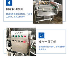 山東恒爾 圖 蘋果氣泡清洗機(jī)廠家 蘋果氣泡清洗機(jī)